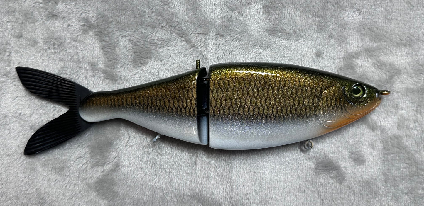 Sherpa Shad Gold Shiner