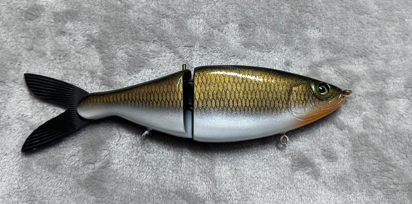Sherpa Shad Gold Shiner