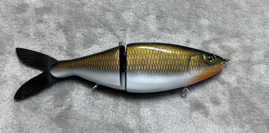 Sherpa Shad Gold Shiner