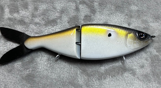 Sherpa Shad Gold Flash
