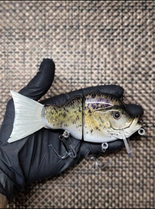 Sherpa Gill 2 Pc × Click Bait Customs(Crappie)